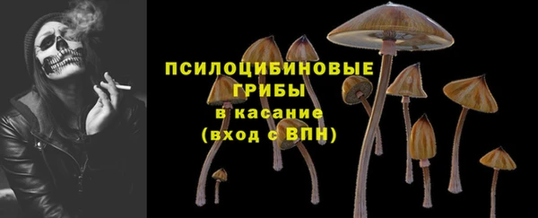 МДМА Заводоуковск