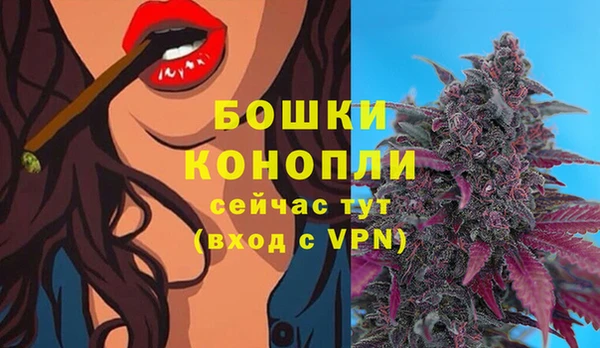 мдпв Заволжск