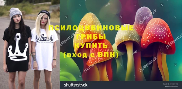 МДМА Заводоуковск