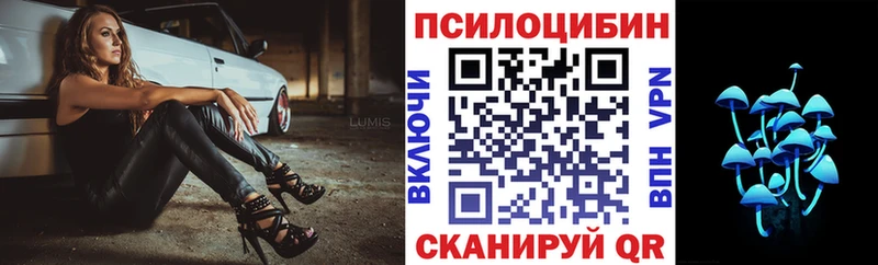 Псилоцибиновые грибы мицелий Знаменск